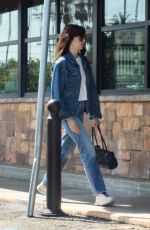 ALISON BRIE Stops by Gelson