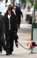 NINA DOBREV Takes Her Dog for a Walk in New York City 05/06/2026