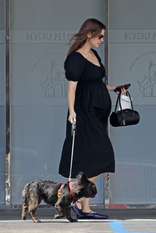 Pregnant BARBARA PALVIN Leaves a Pet Clinic in Hollywood 05/28/2026