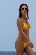 ALESSANDRA AMBROSIO in Bikini at a Beach in Miami 06/23/2026