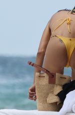 ALESSANDRA AMBROSIO in Bikini at a Beach in Miami 06/23/2026