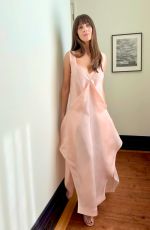 ALISON BRIE - Tribeca Film Festival Premiere of The Revisionist Portraits, June 2026