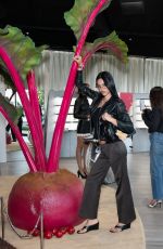 AMELIA HAMLIN at Gentle Monster Celebrates 2026 Veggie Collection Pop-Up Launch in Los Angeles 06/05/2026