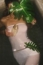 BELLA HADID - Instagram Photos 06/19/2026