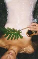 BELLA HADID - Instagram Photos 06/19/2026