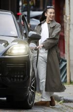 DUA LIPA and Callum Turner at a Low-key Dog Walk in London 06/01/2026