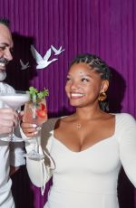 HALLE BAILEY at Grey Goose Berry Rouge Patisserie Event in New York City 06/05/2026