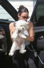 LUCY HALE Out Walking Her Dogs in Studio City 06/25/2026
