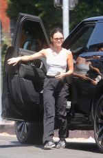LUCY HALE Out Walking Her Dogs in Studio City 06/25/2026