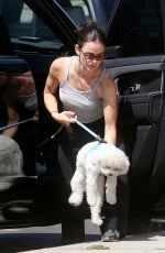 LUCY HALE Out Walking Her Dogs in Studio City 06/25/2026