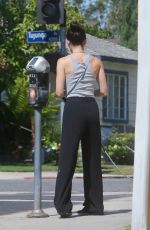 LUCY HALE Out Walking Her Dogs in Studio City 06/25/2026