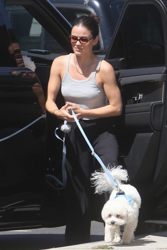 LUCY HALE Out Walking Her Dogs in Studio City 06/25/2026