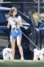 LUCY HALE Walks Her Dogs at a Park in Woodland Hills 06/05/2026