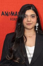 IMAN VELLANI at Animal Farm Premiere in New York 04/21/2026
